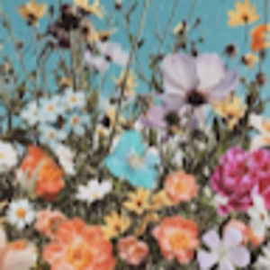 Meet your Posher, Carolina